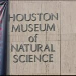 houston museum of natural science jobs